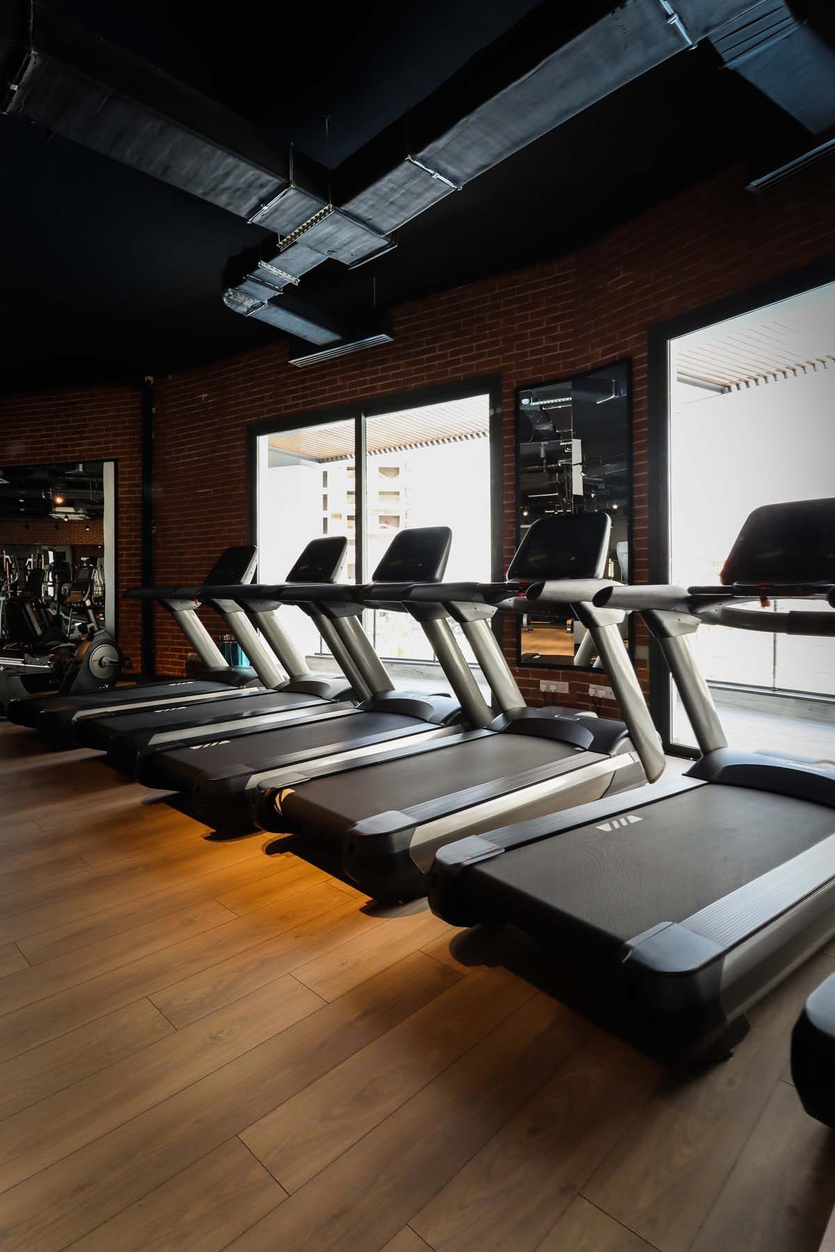 Treadmills in the Caesar gym